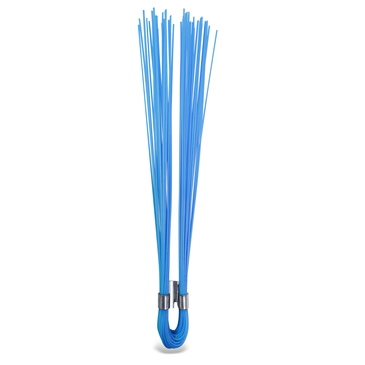 Salamander Wiskers Picture